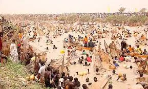 Vanishing Waters: Argungu’s Shrinking River and the Death of Tradition